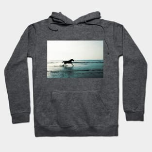 Running horse Hoodie